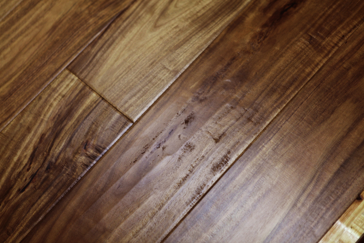 Linco Laminate Flooring Reviews Designs Linco Laminate Flooring Reviews Acai Sofa